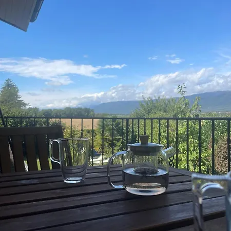 Comfortable A Stone's Throw From Nyon Duillier