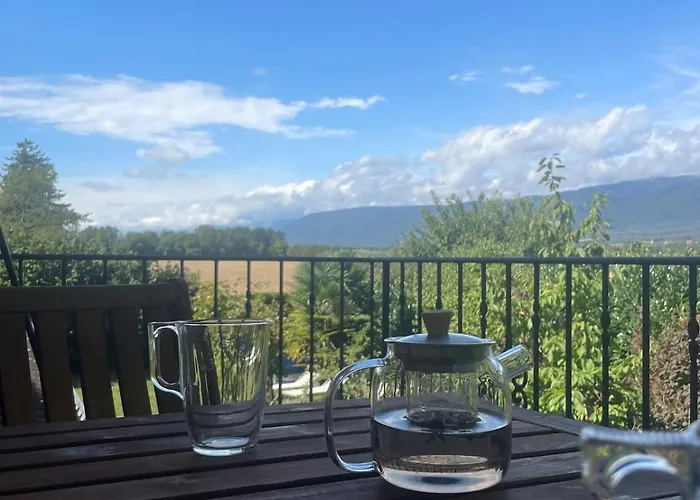 Comfortable A Stone's Throw From Nyon Duillier