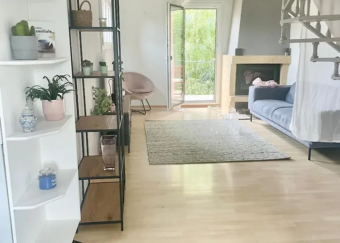 Appartement Comfortable A Stone's Throw From Nyon *